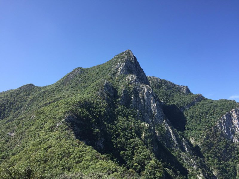 Naríz de Indio
