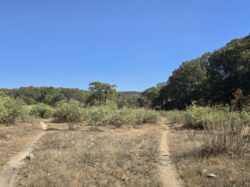 Torre 3 - Bosque la Primavera