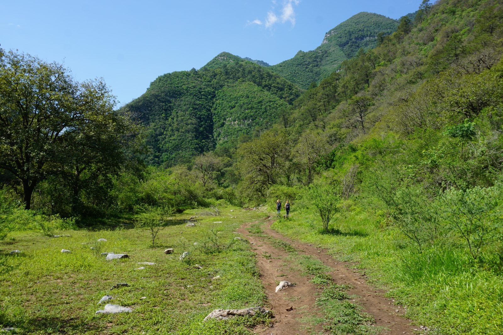Pozas de Chipitín