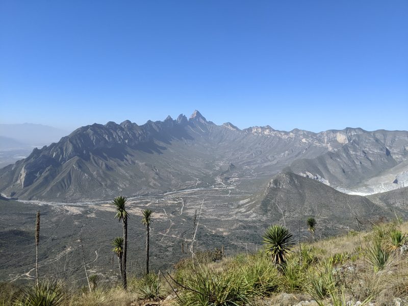 Mesa de Pinos