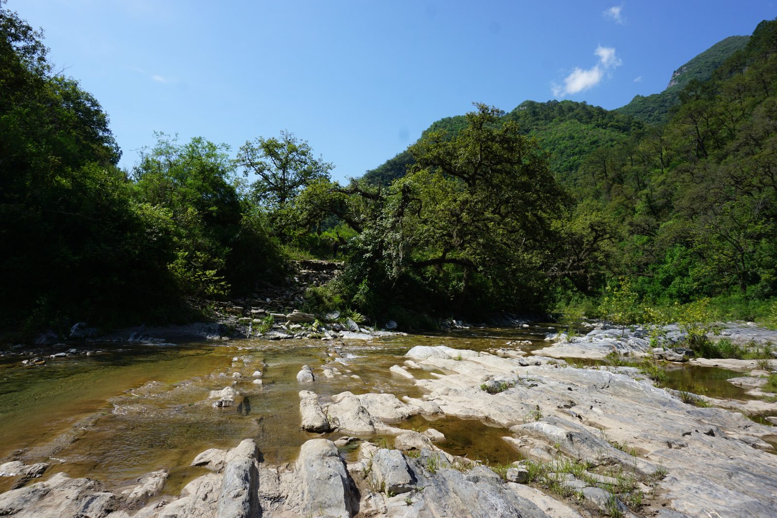 Pozas de Chipitín