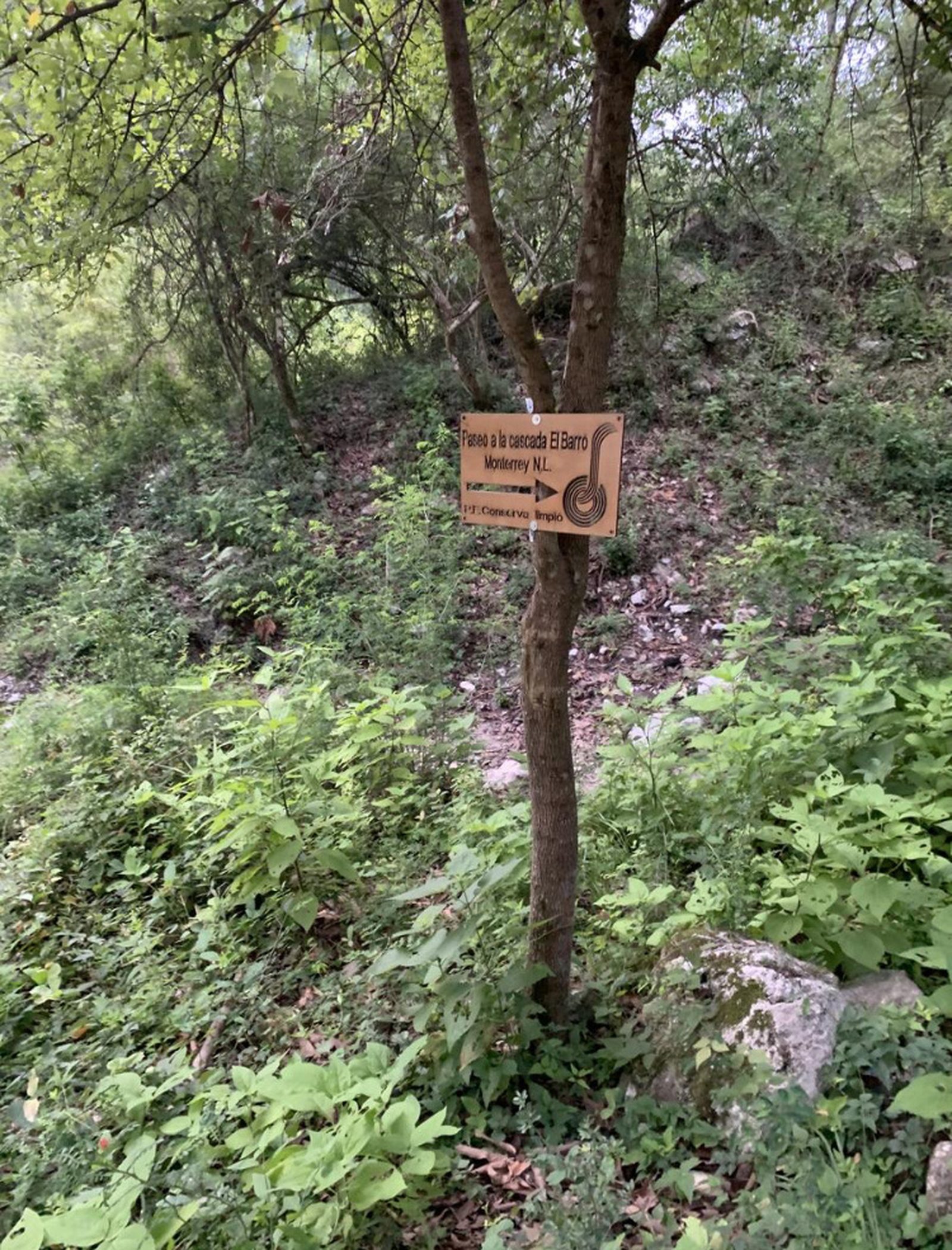 Cascada del Barro