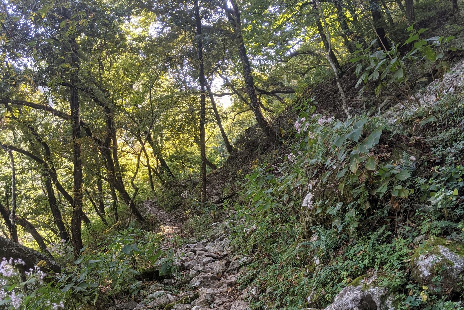 Puerto Olmos