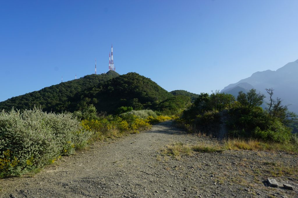 The Antennas