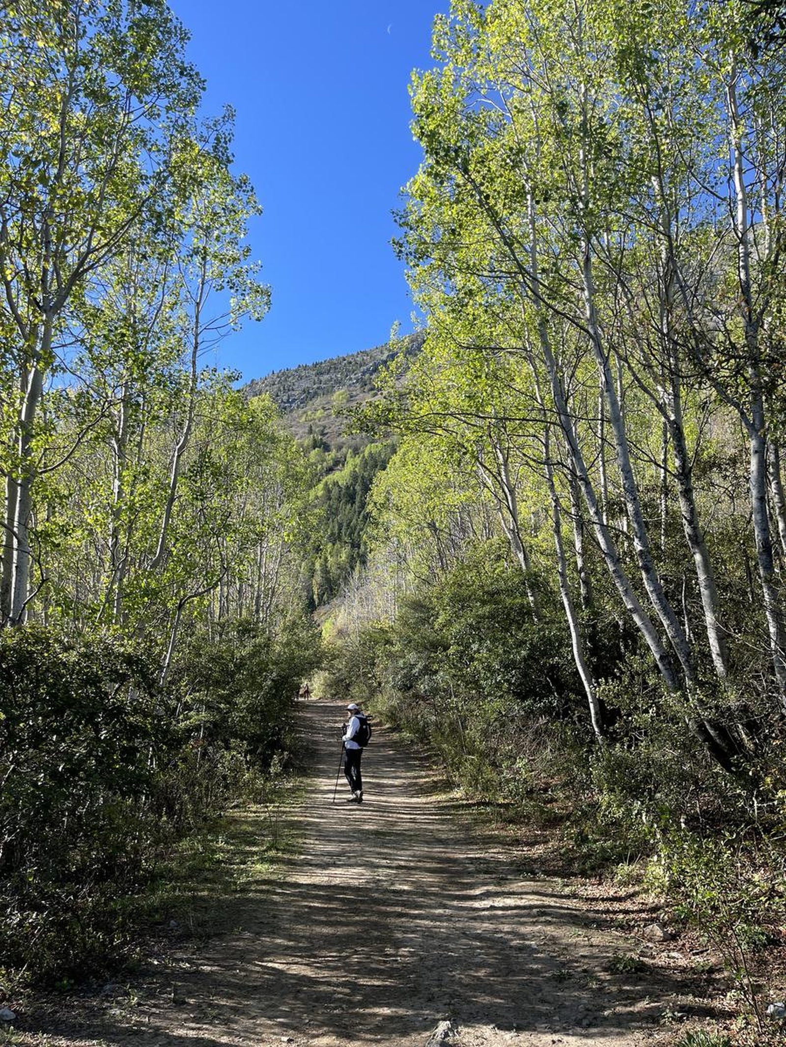 Sendero rumbo al Morro