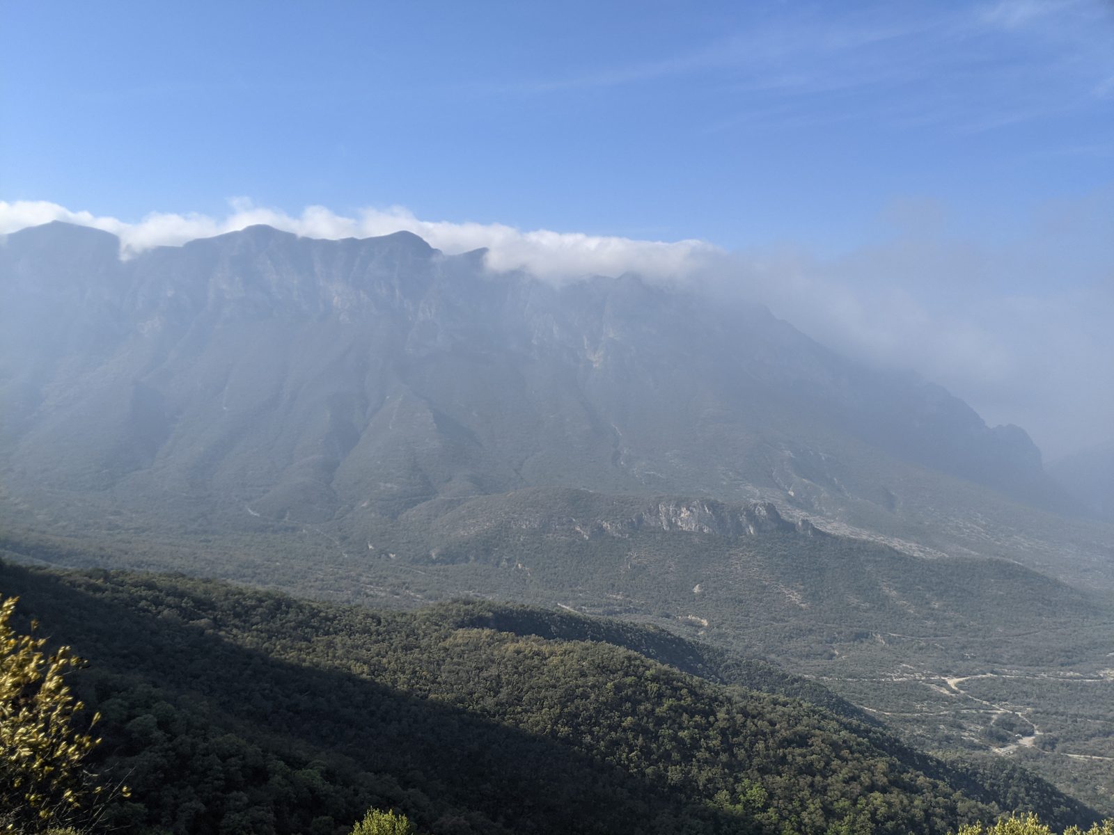 Mesa de Pinos