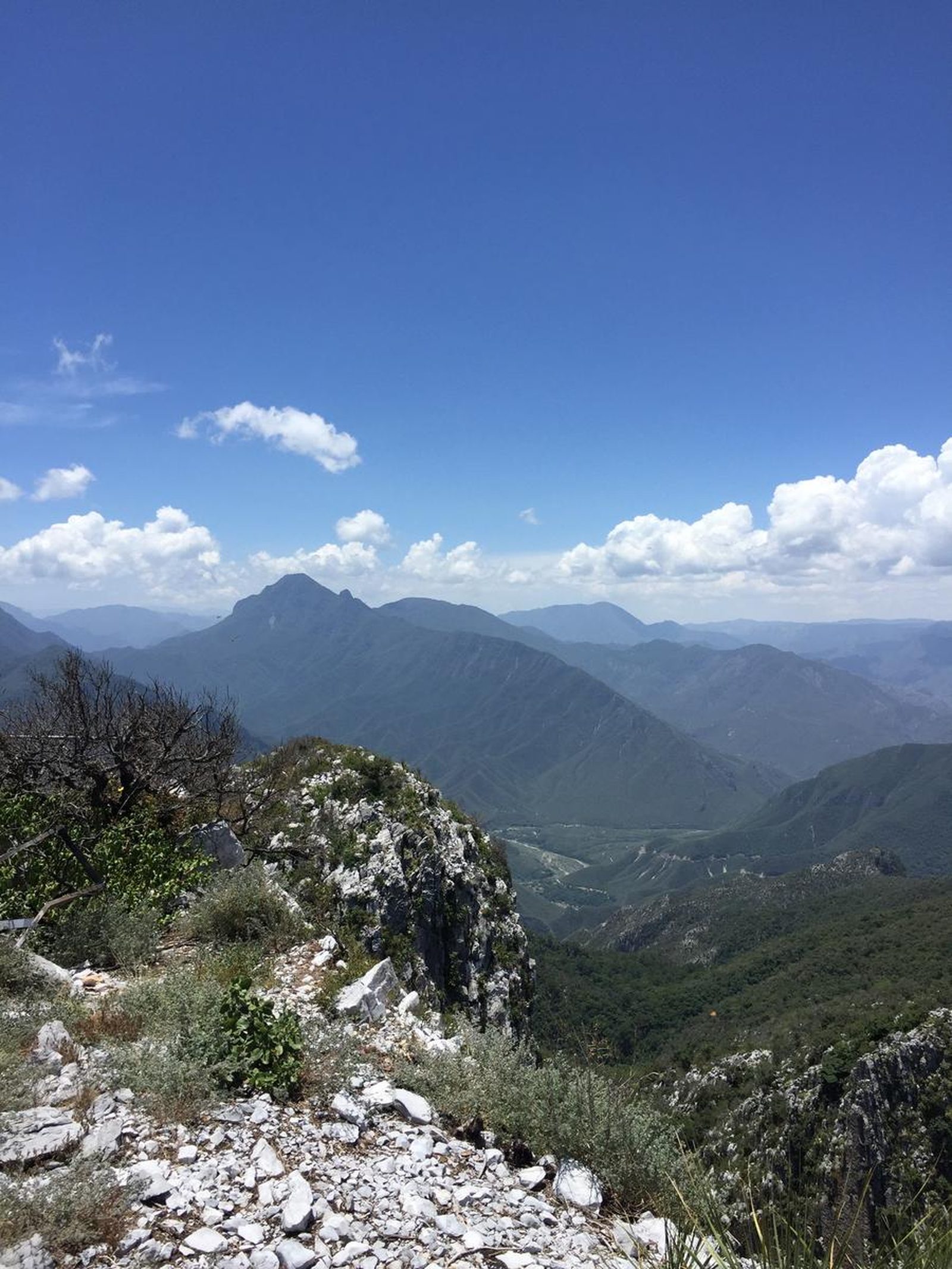Naríz de Indio