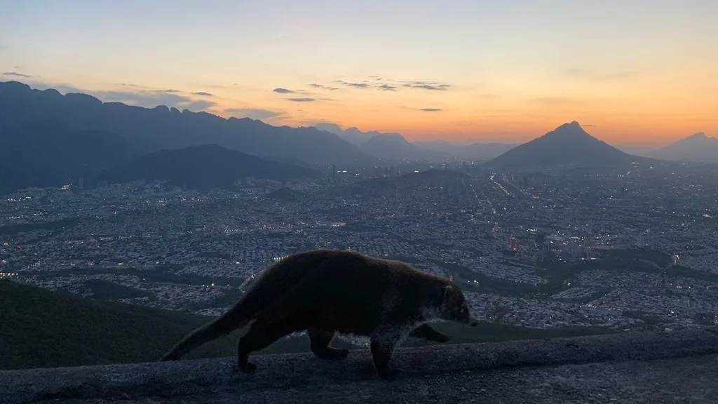 Cerro de la Silla: acampar a minutos de la ciudad