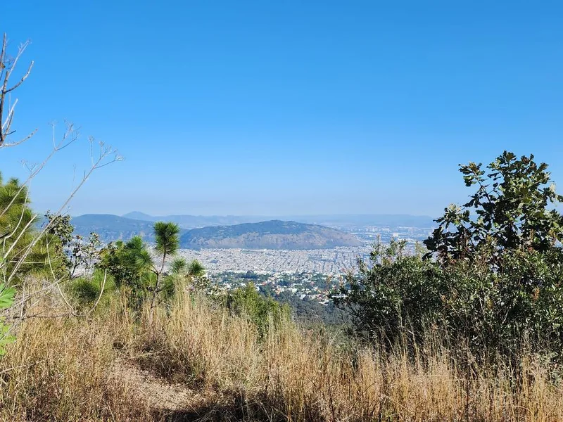 Cerro de Bugambilias - Ruta Directa - Zapopan, JAL