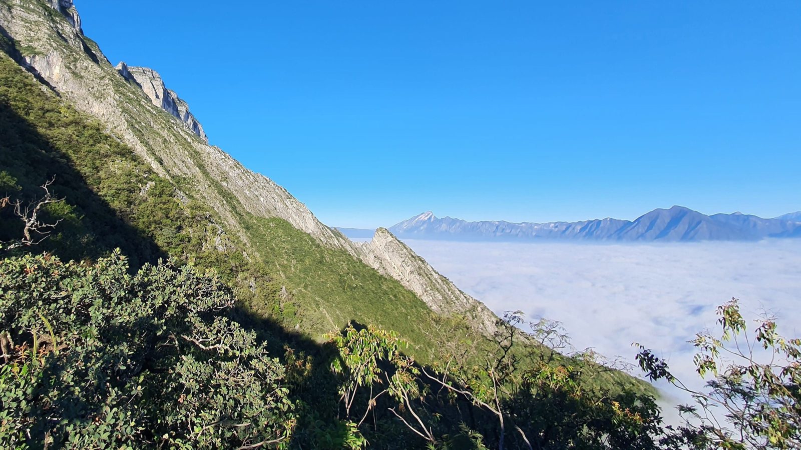 Pico Piquín