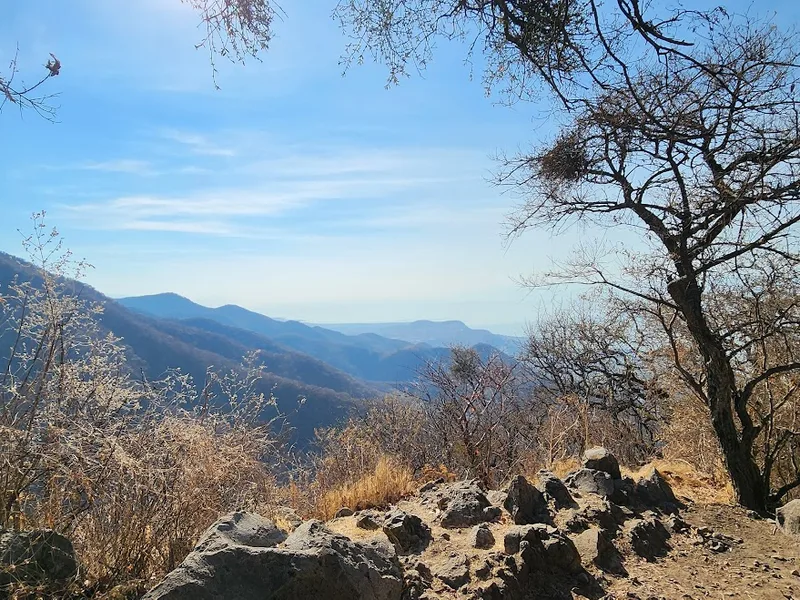 Chupinaya - El Tépalo - Sierra de San Juan Cosalá