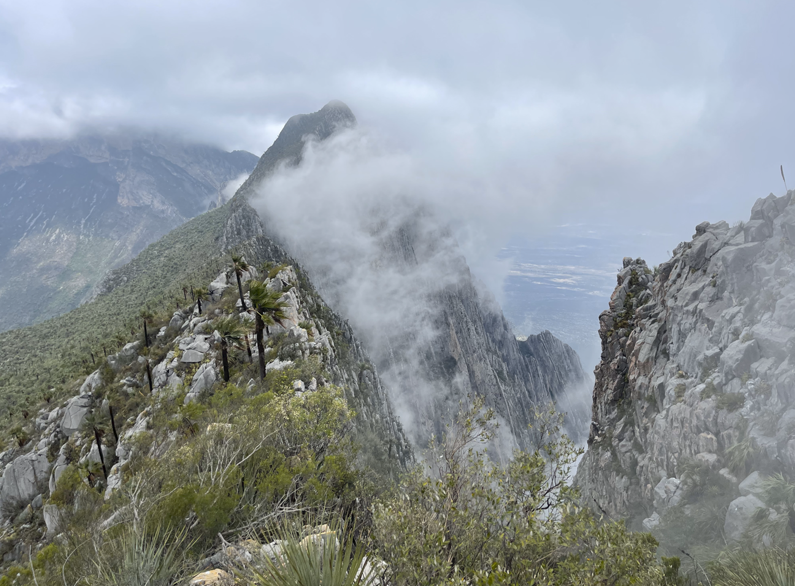 Mirador El Toro