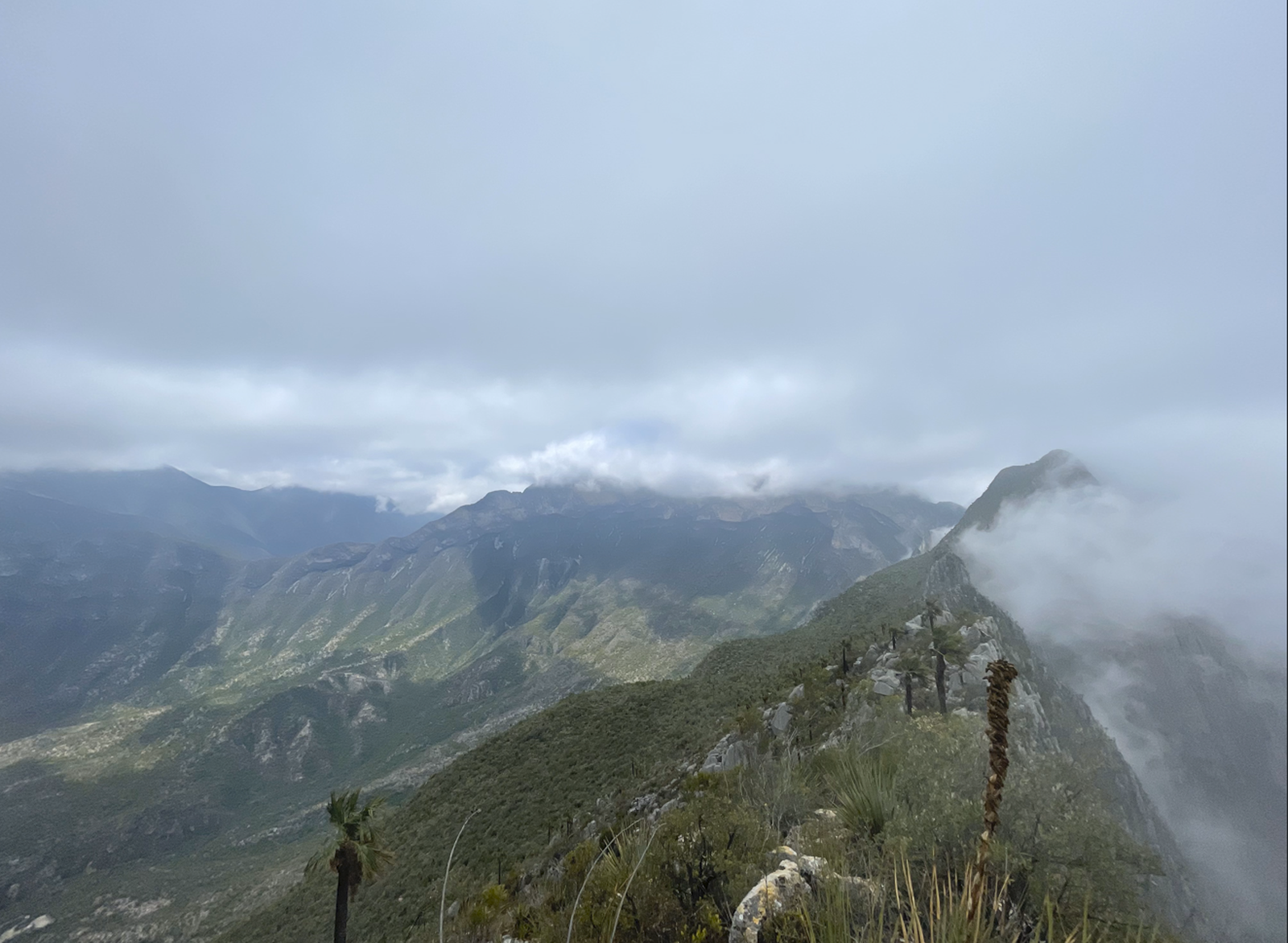 Mirador El Toro