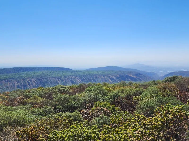 Torre 2 - Venta del Astillero - Bosque la Primavera