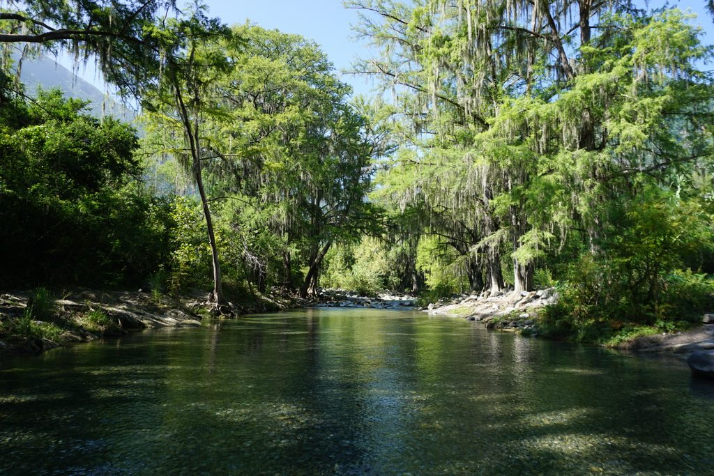 Ramos River