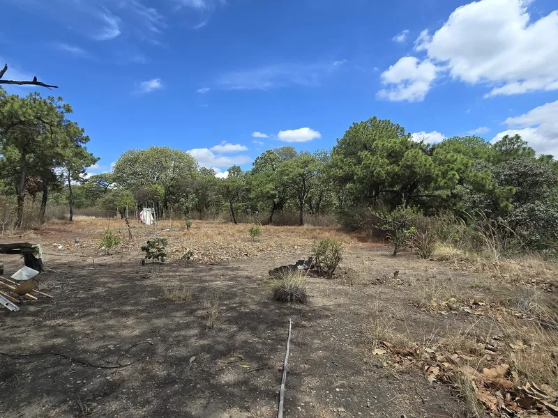 Torre 2 - Boca de la Arena - Bosque la Primavera