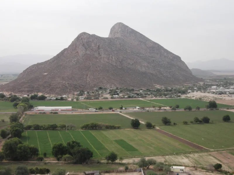 Cerro de la Ballena