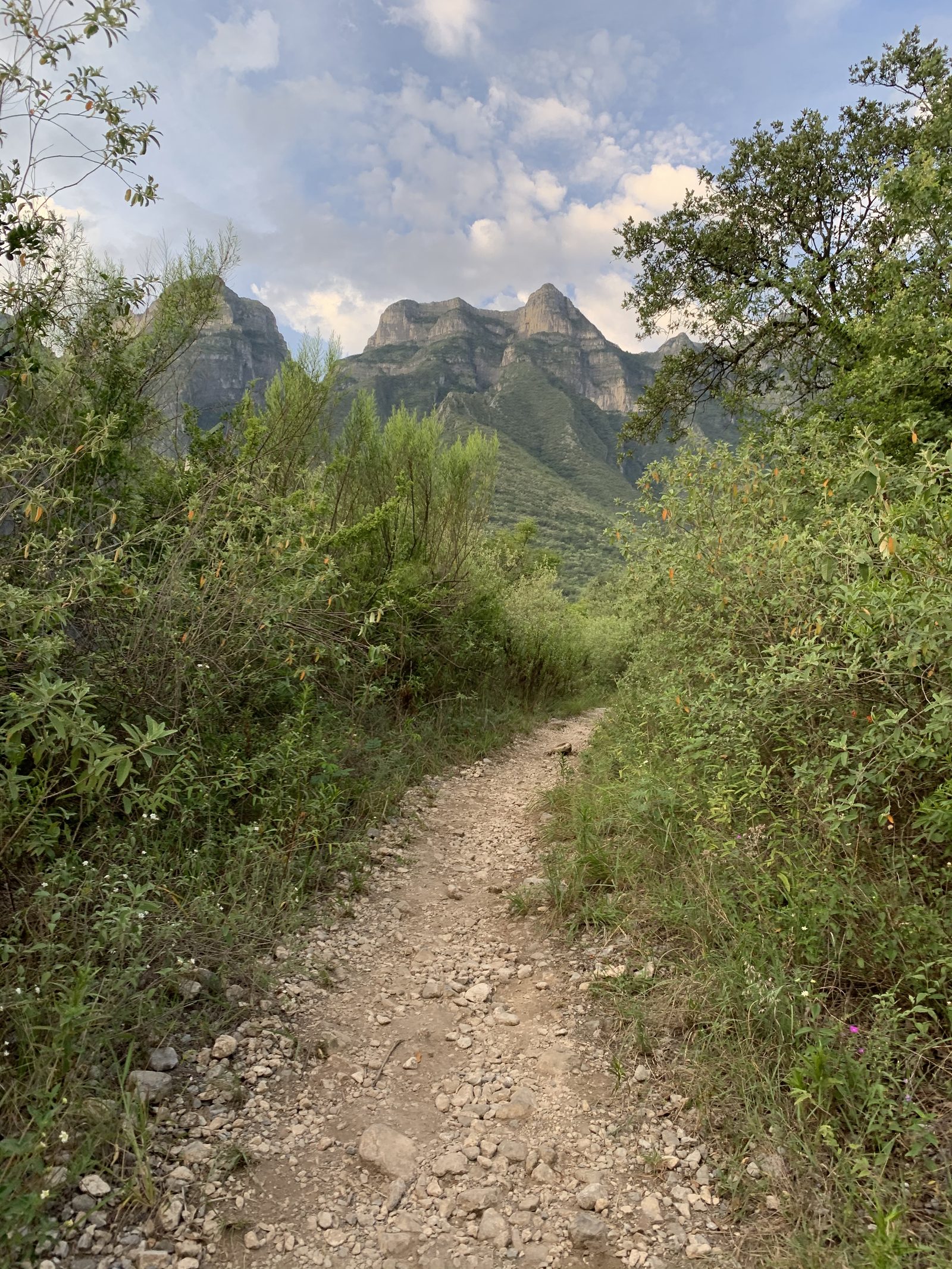 Pico Perico