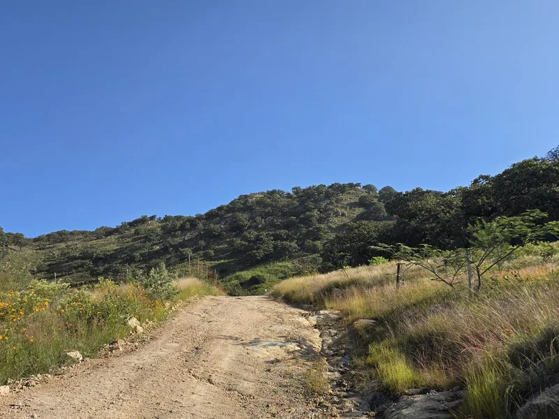 Sendero Mesa de Los Lobos - Los Patios - Zapopan, JAL