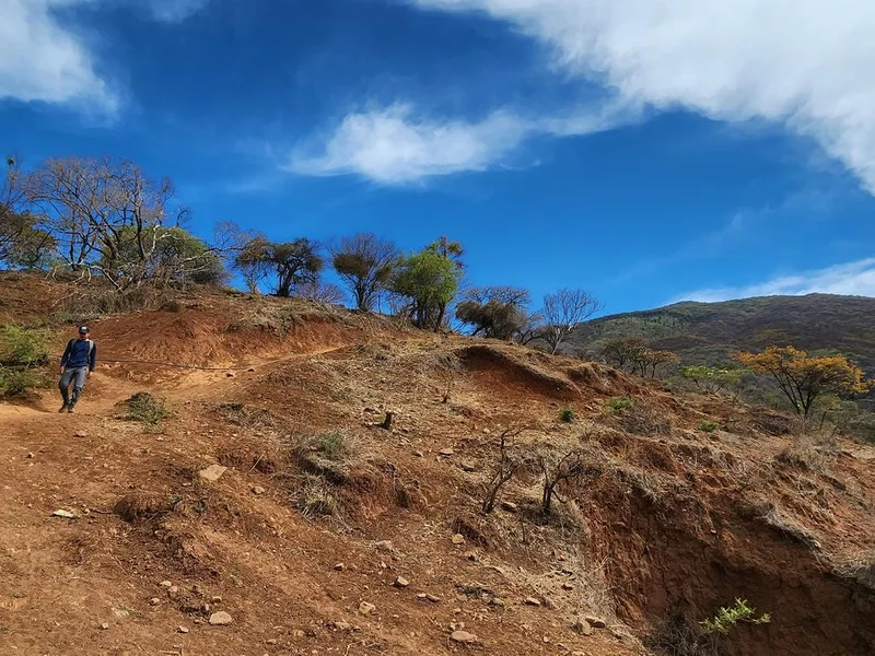 Ruta Jaguarundi - Cerro Viejo - Jalisco