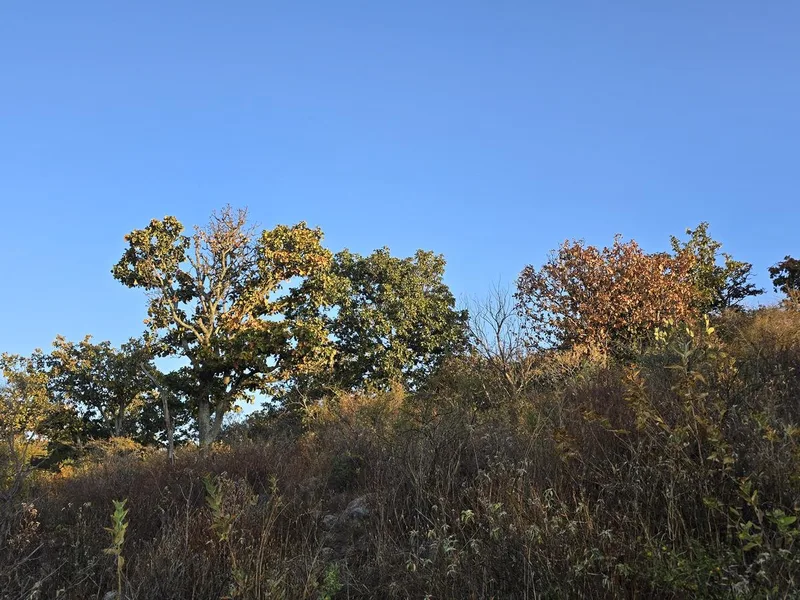 Cerro las Latillas - Tlajomulco de Zúñiga, JAL