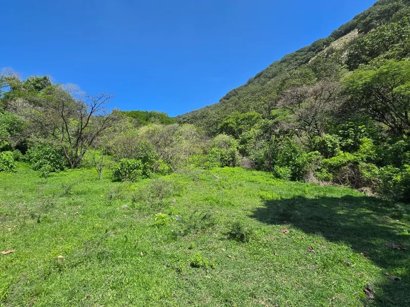Cerro de la Col - Sierra de Tesistán - Jalisco