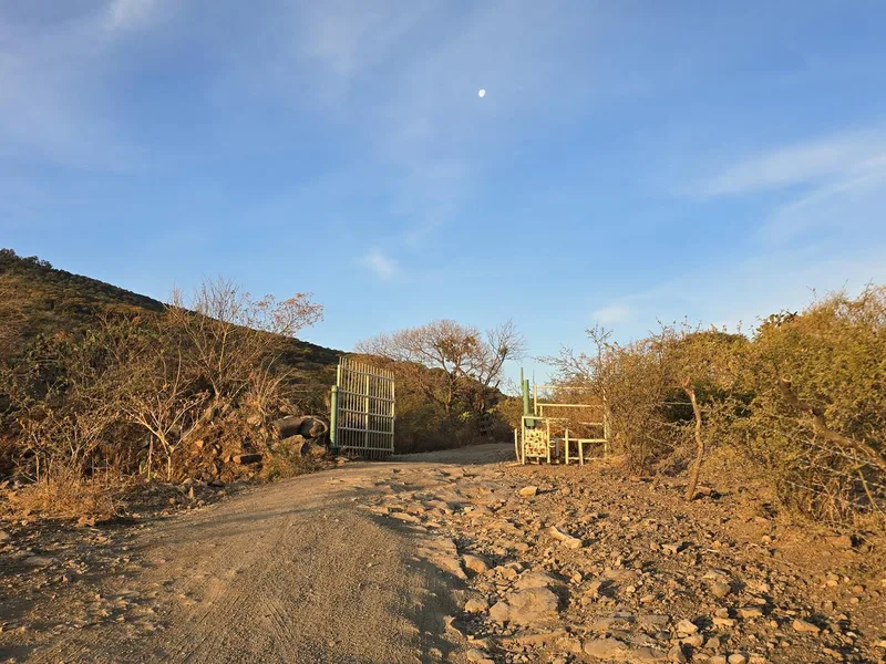 Ruta de los Postes - Cerro Viejo - Jalisco
