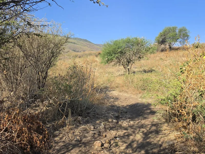 Sendero La Angostura - Sierra de San Juan Cosalá