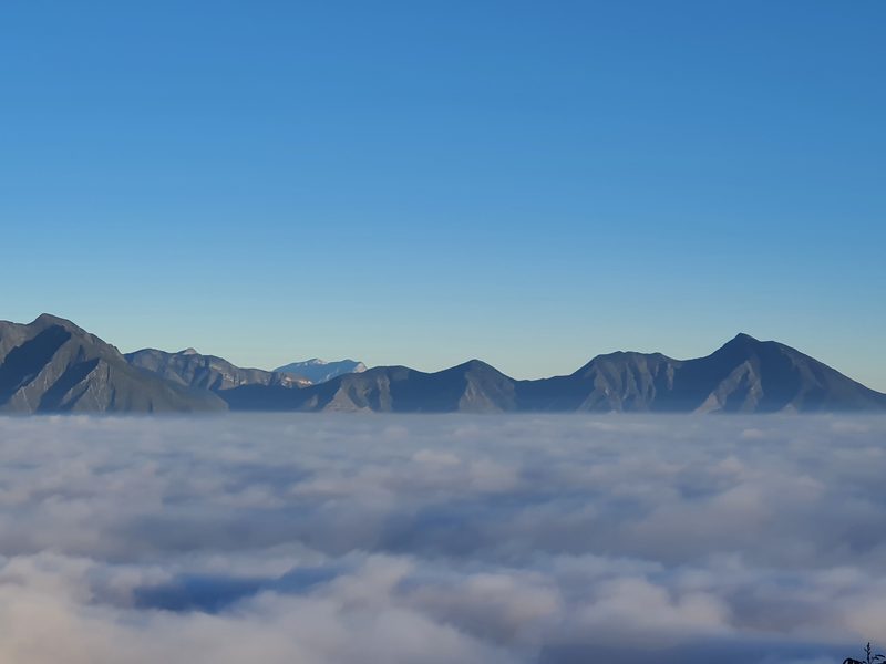 Pico Piquín