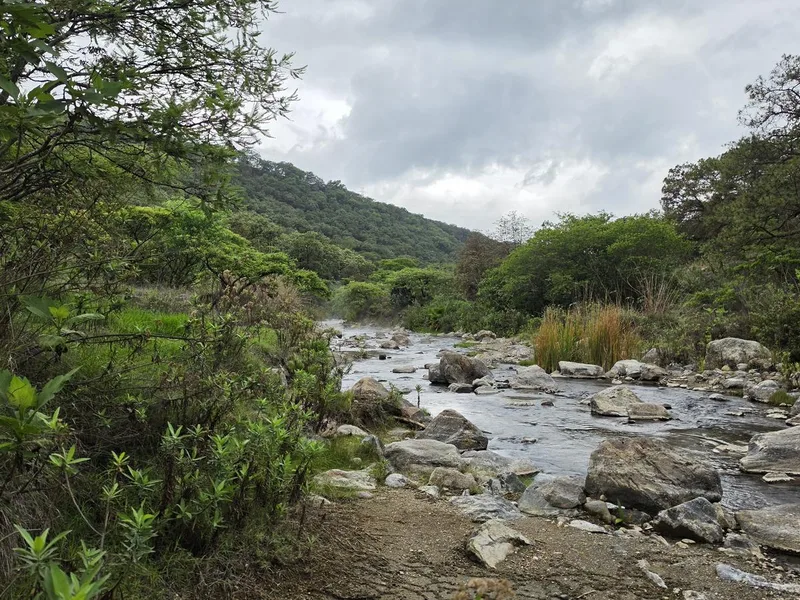Río Esmeralda - Bosque la Primavera