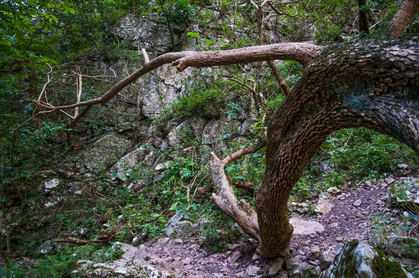 Cerro Agujerado