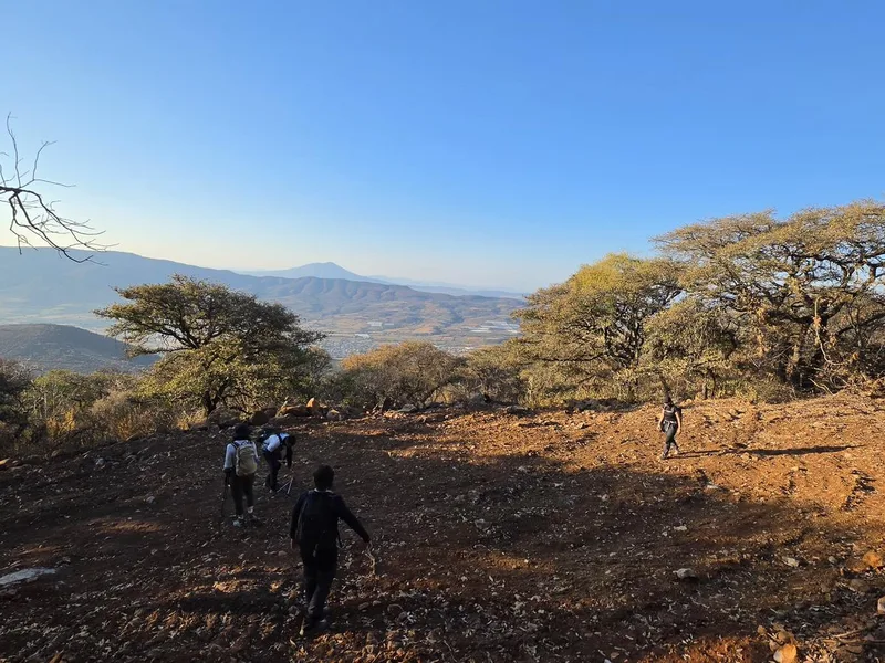 Ruta Potrerillos - Cerro Viejo - Jalisco