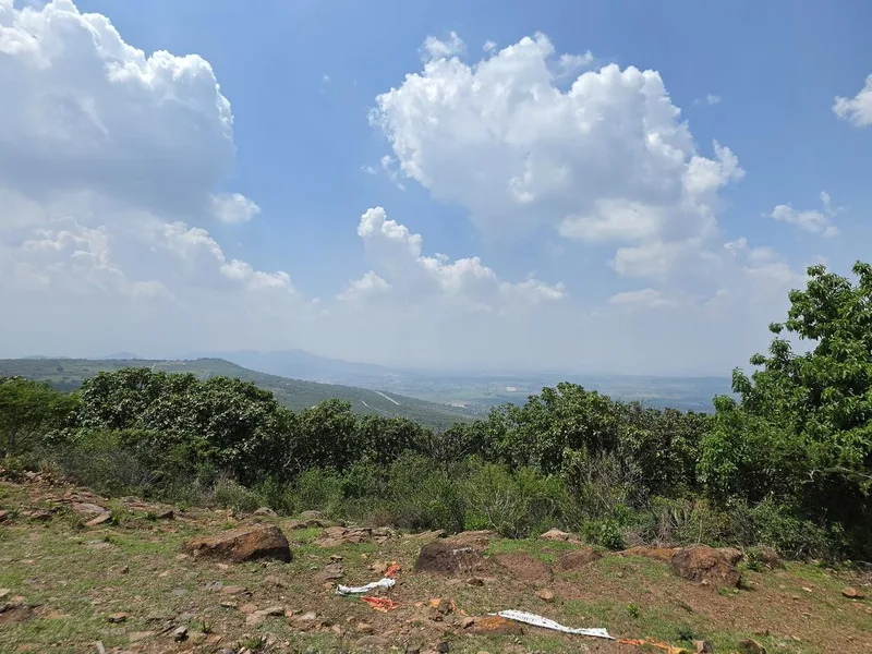 Sendero los Sauces - Cerro Viejo - Jalisco