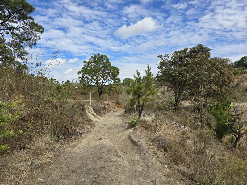 Circuito Cañón del Carbón - Bosque la Primavera